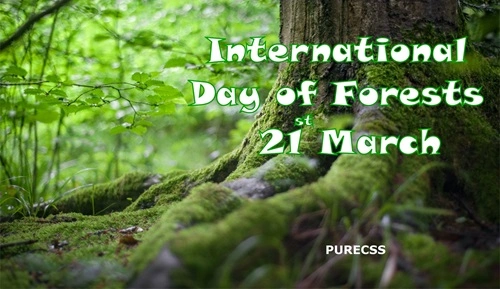 International Day of Forests