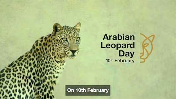 International Day of the Arabian Leopard