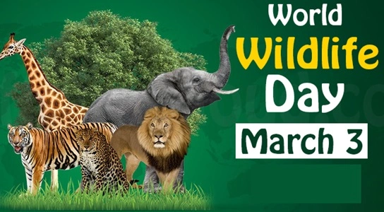 World Wildlife Day