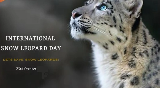 International Day of the Snow Leopard